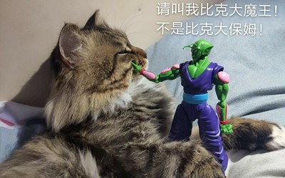 万代拼装模型新作 比克大魔王登场，拼装魔王模型全解析